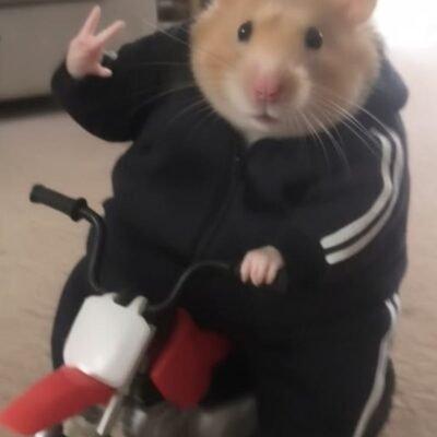Riaaa